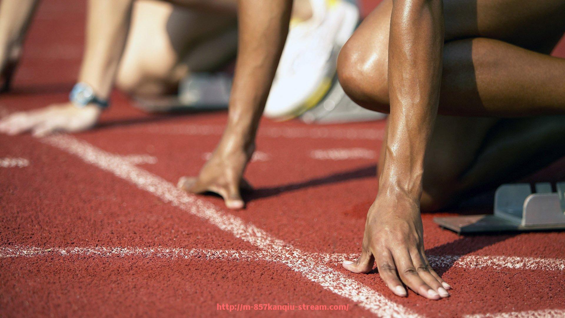 857直播看球平台-2009年欧冠小组赛AC米兰对阵皇马的激烈较量